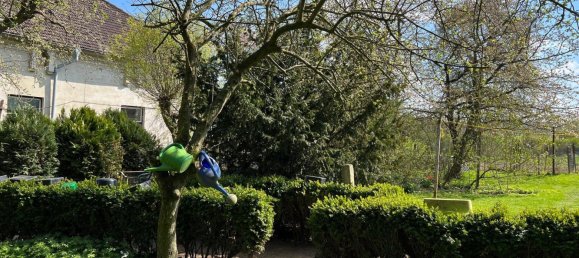 8 bedrooms House in Nordwestmecklenburg, Germany No. 146580 3