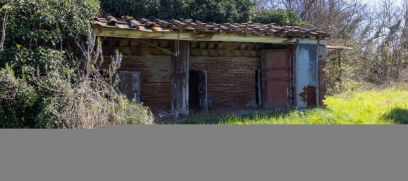 Дом с 14 комнатами в Лукка, Италия № 68403 32