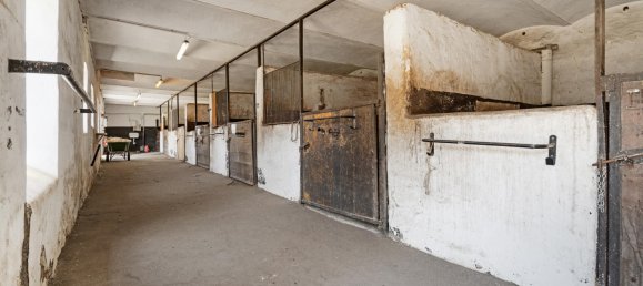 6-salle Maison à Andlersdorf, Austria No. 196560 39