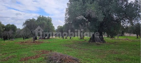 11600m² Land in Carovigno, Italy No. 154912 24