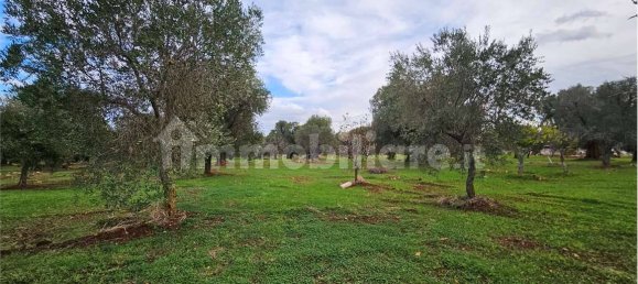 11600m² Land in Carovigno, Italy No. 154912 8