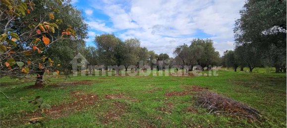 11600m² Land in Carovigno, Italy No. 154912 27