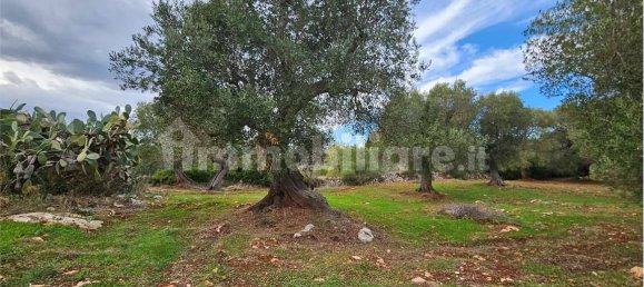11600m² Land in Carovigno, Italy No. 154912 2