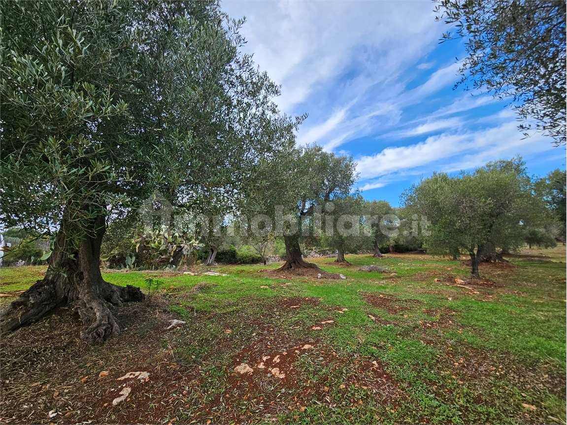 11600m² Land in Carovigno, Italy No. 154912