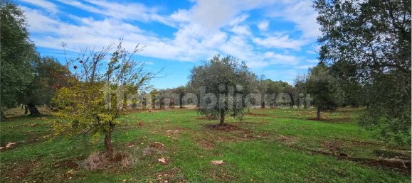 11600m² Land in Carovigno, Italy No. 154912 21