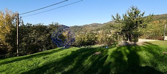 17960m² Land in Soalhaes, Portugal No. 32786 4