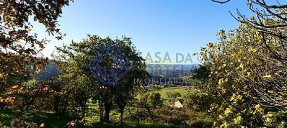 17960m² Land in Soalhaes, Portugal No. 32786 19