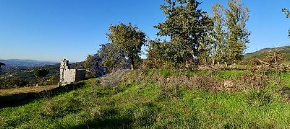 17960m² Land in Soalhaes, Portugal No. 32786 6