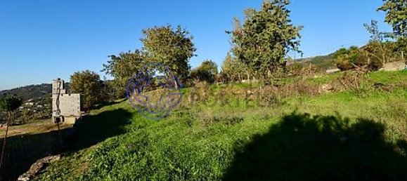 17960m² Land in Soalhaes, Portugal No. 32786 12