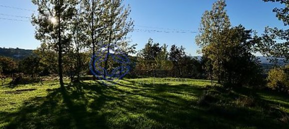 17960m² Land in Soalhaes, Portugal No. 32786 8