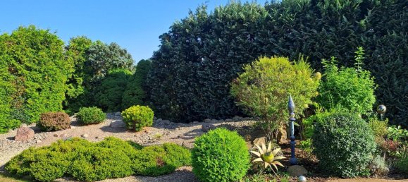 1 bedroom House in Brandenburg, Germany No. 35500 54