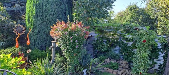 1 bedroom House in Brandenburg, Germany No. 35500 35