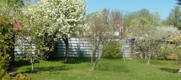 1 bedroom House in Brandenburg, Germany No. 35500 24