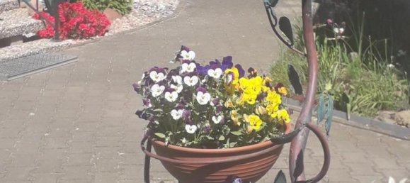 1 bedroom House in Brandenburg, Germany No. 35500 28