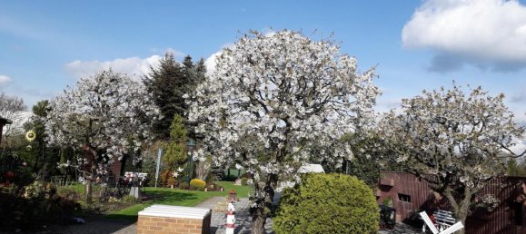 1 bedroom House in Brandenburg, Germany No. 35500 25