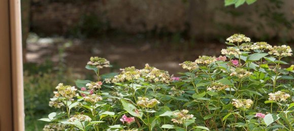 Квартира с 3 комнатами в Виден, Австрия № 240098 6