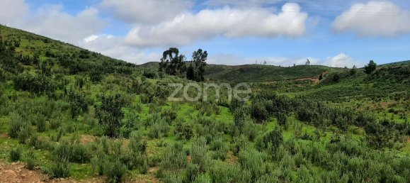 2 bedrooms House in Mexilhoeira Grande, Portugal No. 51462 24