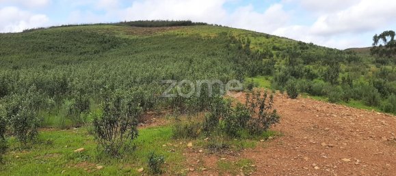 2 bedrooms House in Mexilhoeira Grande, Portugal No. 51462 29