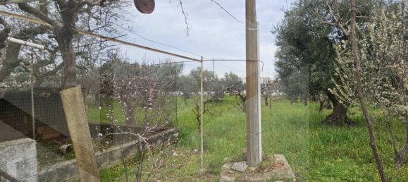 3 chambres Villa à Locorotondo, Italy No. 20727 29