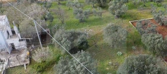 3 chambres Villa à Locorotondo, Italy No. 20727 14