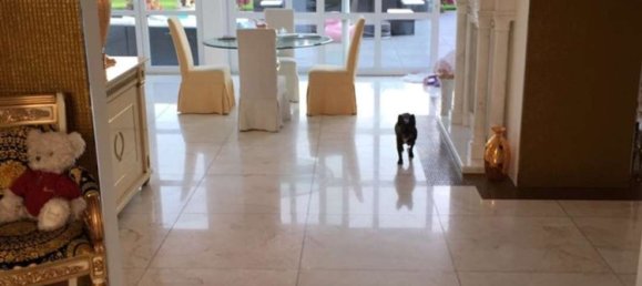 5 Schlafzimmer Villa in Düsseldorf, Germany, Nr. 292408 9