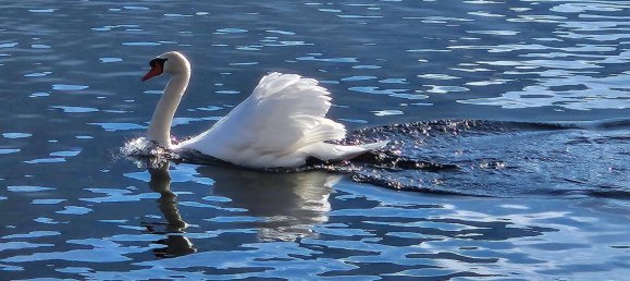 2 bedrooms Duplex in Altmunster, Austria No. 139213 19