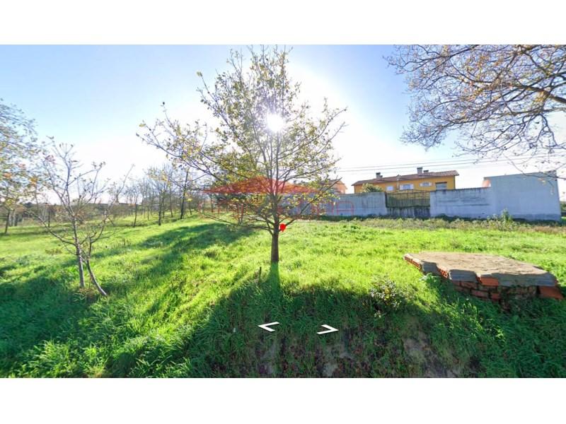 835m² Land in Oia, Portugal No. 298216