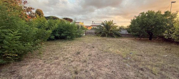 Terrain à Nettuno, Italy No. 322007 4