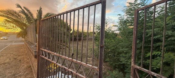 Terrain à Nettuno, Italy No. 322007 8