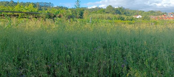 Земельный участок 200м² в Понтеведра, Испания № 106032 4