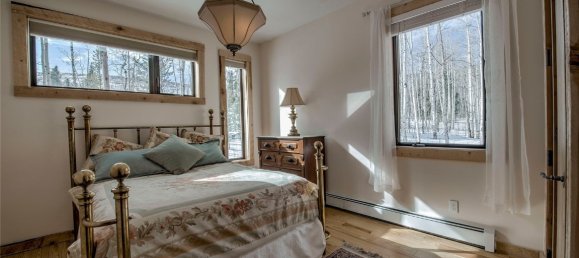 Propiedad comercial de 4 dormitorios en Fairplay, USA No. 560292 23