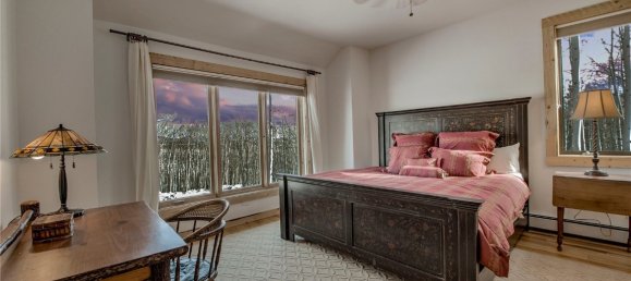 Propiedad comercial de 4 dormitorios en Fairplay, USA No. 560292 12