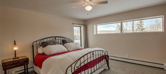 Propiedad comercial de 4 dormitorios en Fairplay, USA No. 560292 30