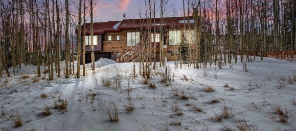 Propiedad comercial de 4 dormitorios en Fairplay, USA No. 560292 2