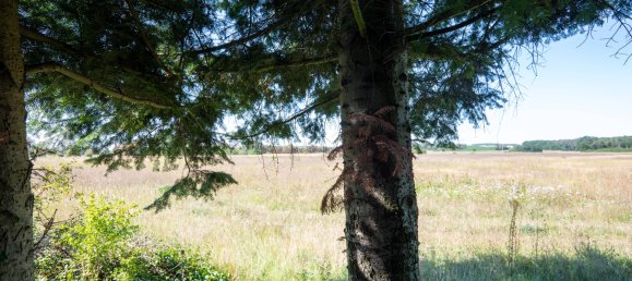 Таунхаус с 4 комнатами в Уккермарк, Германия № 87070 14