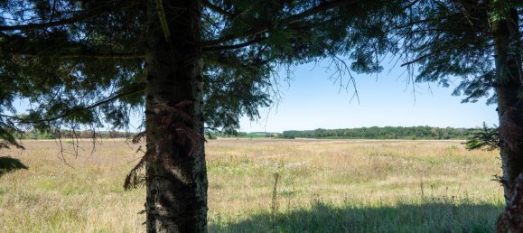 Таунхаус с 4 комнатами в Уккермарк, Германия № 87070 13