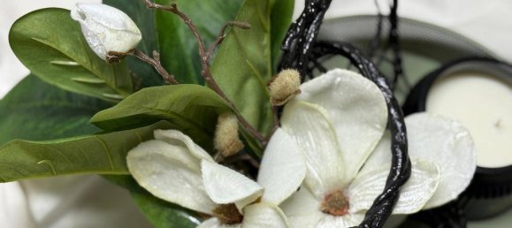 Apartamento de 1 dormitorio en Bad Gleichenberg, Austria No. 150556 4