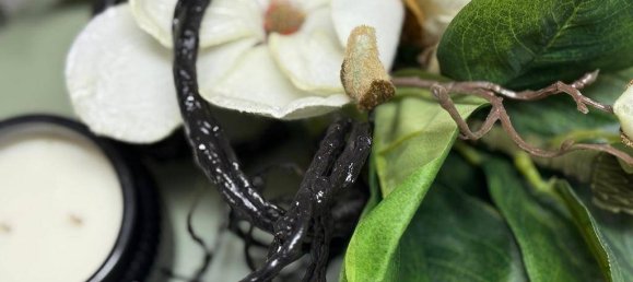 Apartamento de 1 dormitorio en Bad Gleichenberg, Austria No. 150556 7