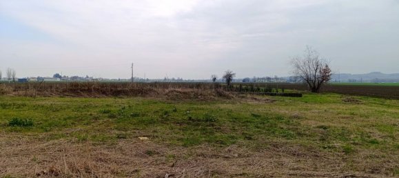 2 rooms Penthouse in Langhirano, Italy No. 20360 16