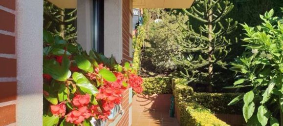 7 bedrooms House in Basque Autonomous Community, Spain No. 157034 12