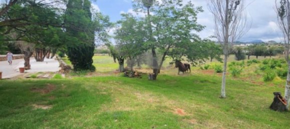 4 bedrooms House in Alicante, Spain No. 185978 16