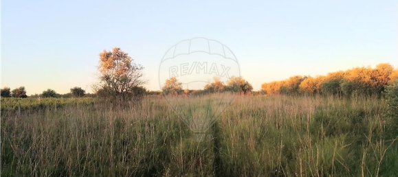 4720m² Land in Azambuja, Portugal No. 58332 5