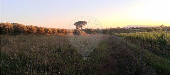 4720m² Land in Azambuja, Portugal No. 58332 6