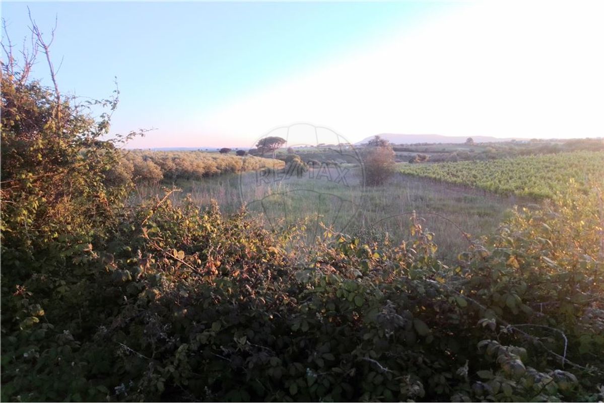 4720m² Land in Azambuja, Portugal No. 58332