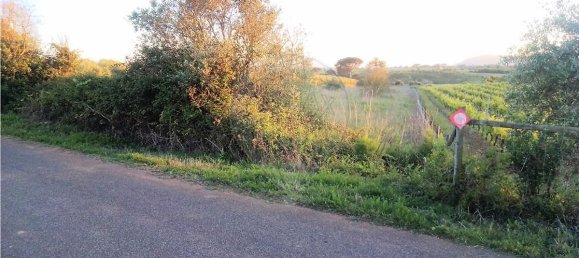 4720m² Land in Azambuja, Portugal No. 58332 3