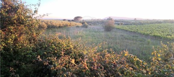 4720m² Land in Azambuja, Portugal No. 58332 2