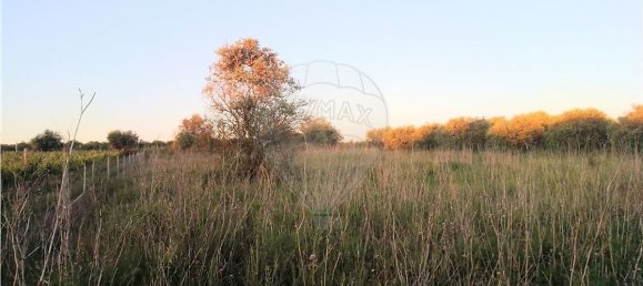 4720m² Land in Azambuja, Portugal No. 58332 7