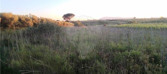 4720m² Land in Azambuja, Portugal No. 58332 4