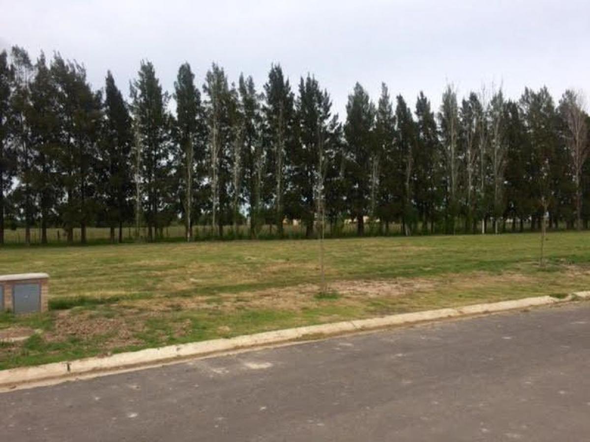  Land in Ezeiza, Argentina No. 49451