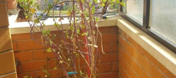 2 bedrooms Apartment in Campobasso, Italy No. 203386 11